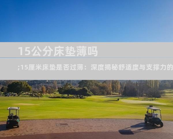15公分床垫薄吗;15厘米床垫是否过薄：深度揭秘舒适度与支撑力的平衡点