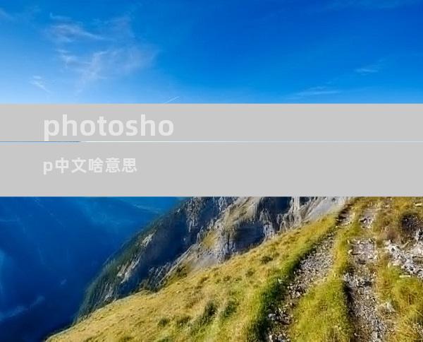 photoshop中文啥意思