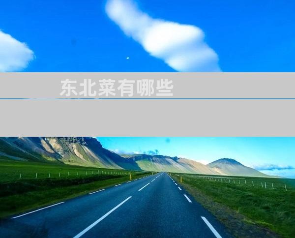 东北菜有哪些