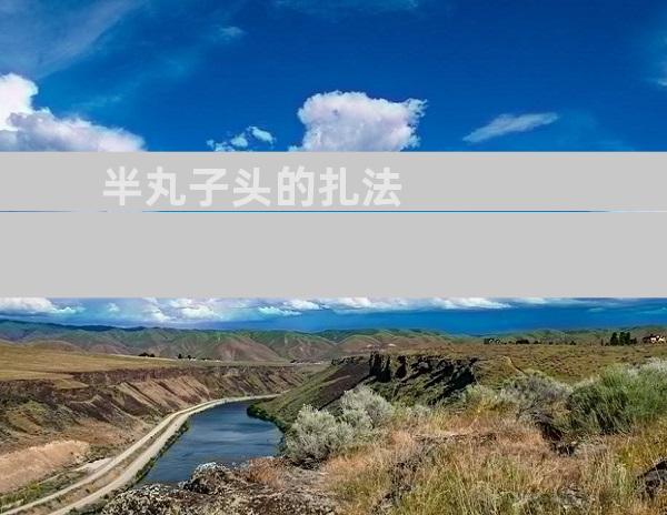 半丸子头的扎法