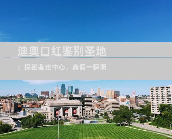 迪奥口红鉴别圣地：探秘鉴定中心，真假一瞬明