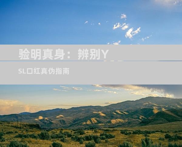 验明真身：辨别YSL口红真伪指南