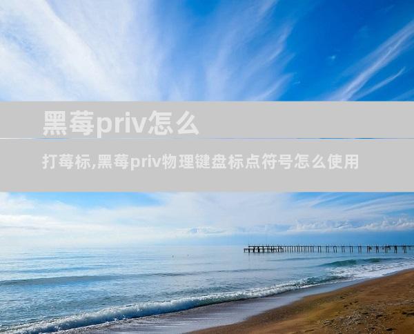 黑莓priv怎么打莓标,黑莓priv物理键盘标点符号怎么使用